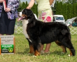 Glenna