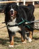 Georgia