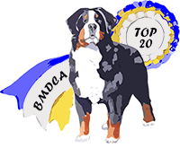 BMDCA Top 20