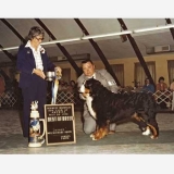 Best in Specialty <br/>at BMDCA Nationals